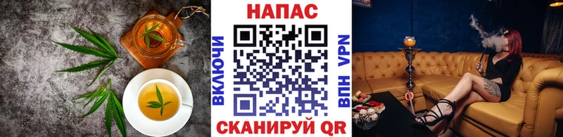 мега ТОР  где найти   Рязань  дарк нет состав  Cannafood конопля 