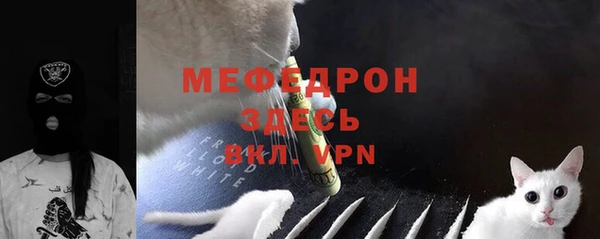 прущие грибы Михайлов