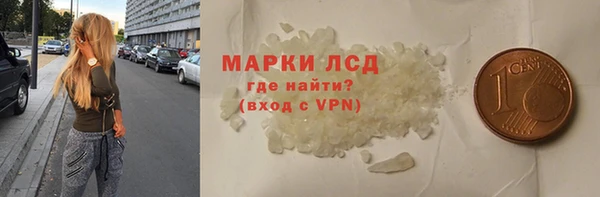 прущие грибы Михайлов