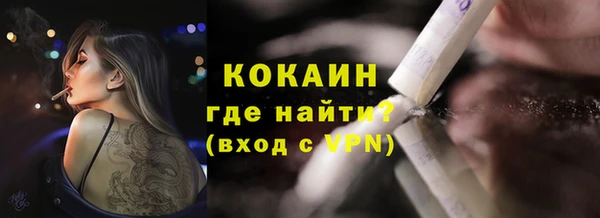 прущие грибы Михайлов