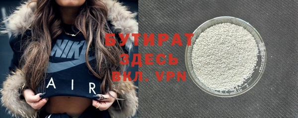 прущие грибы Михайлов