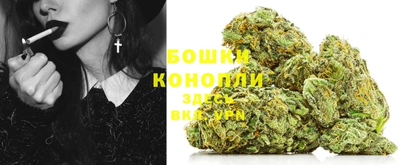 прущие грибы Михайлов
