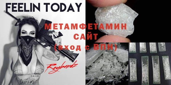 прущие грибы Михайлов