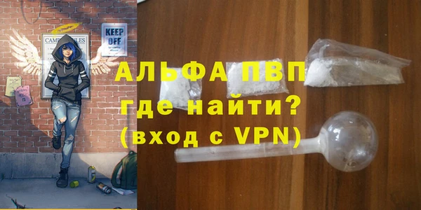 прущие грибы Михайлов