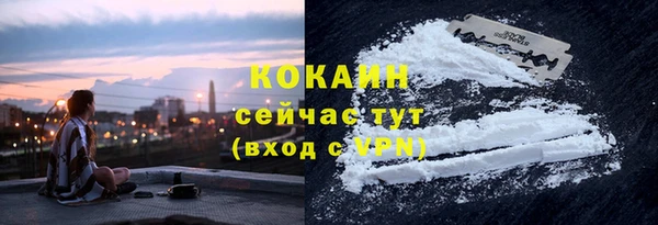 прущие грибы Михайлов