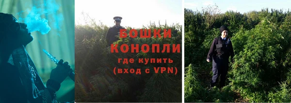 прущие грибы Михайлов