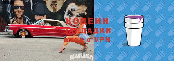 прущие грибы Михайлов