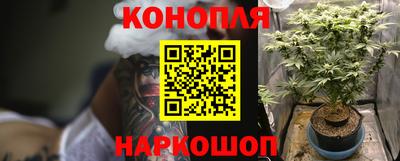 дмт Новозыбков