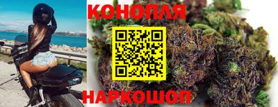 стафф Новодвинск