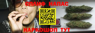 стафф Новодвинск