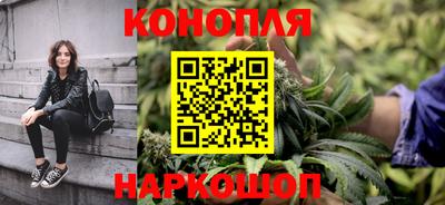 дмт Новозыбков