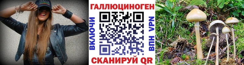 Псилоцибиновые грибы GOLDEN TEACHER  mega зеркало  Рязань  площадка состав  дарнет шоп 