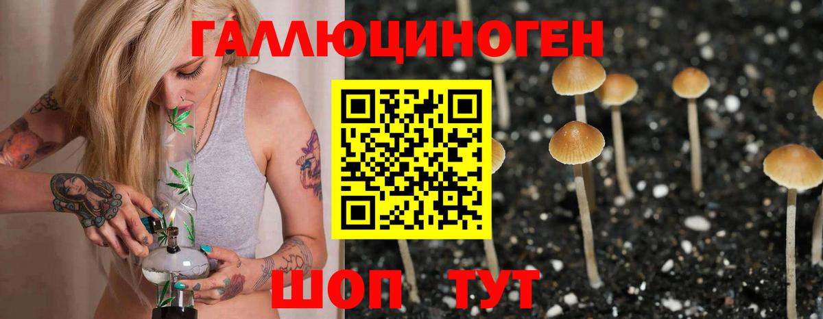 Псилоцибиновые грибы Magic Shrooms  Вход с VPN  Рязань 